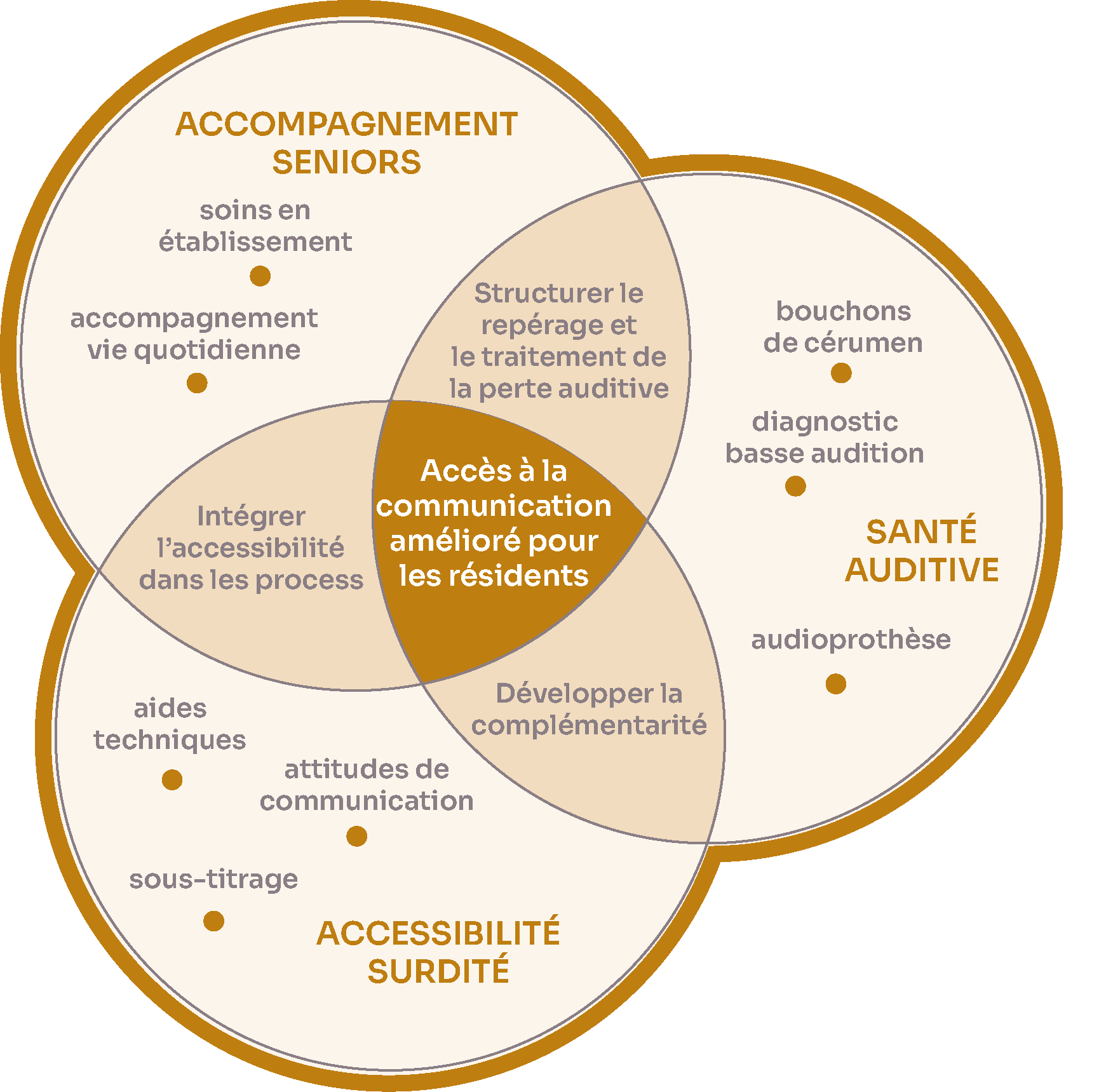 schema sur l'approche pluridisciplinaire du projet "Vers une meilleure prise en compte de l'audition en Ehpad"